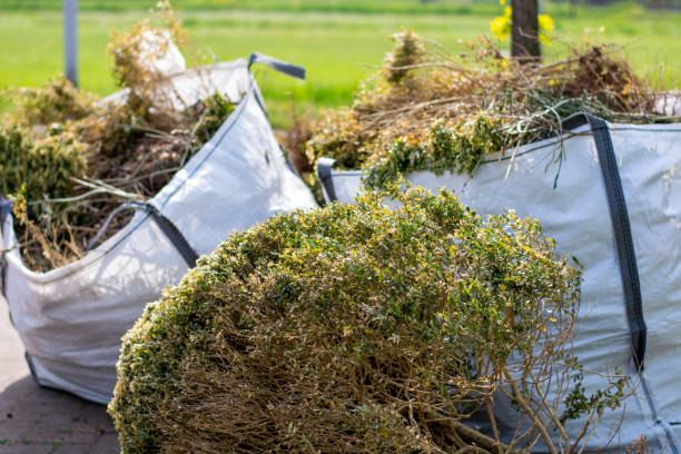 Best Local Junk Hauling  in Sparta, GA